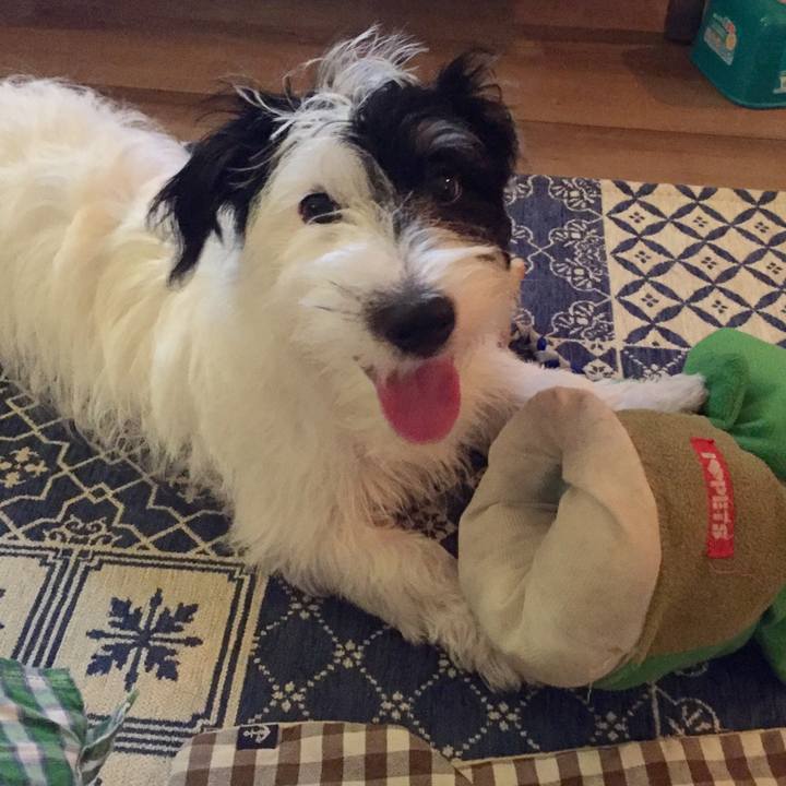 903d98bb bfc6 4440 aa41 f91f5229d870