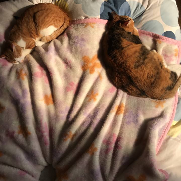 903dd815 cd43 4ae1 b884 9a05b987d21e