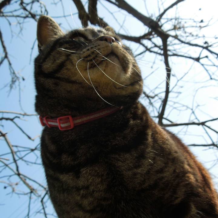 903dfacb ef3d 4461 90b7 d286bc9b0f1b