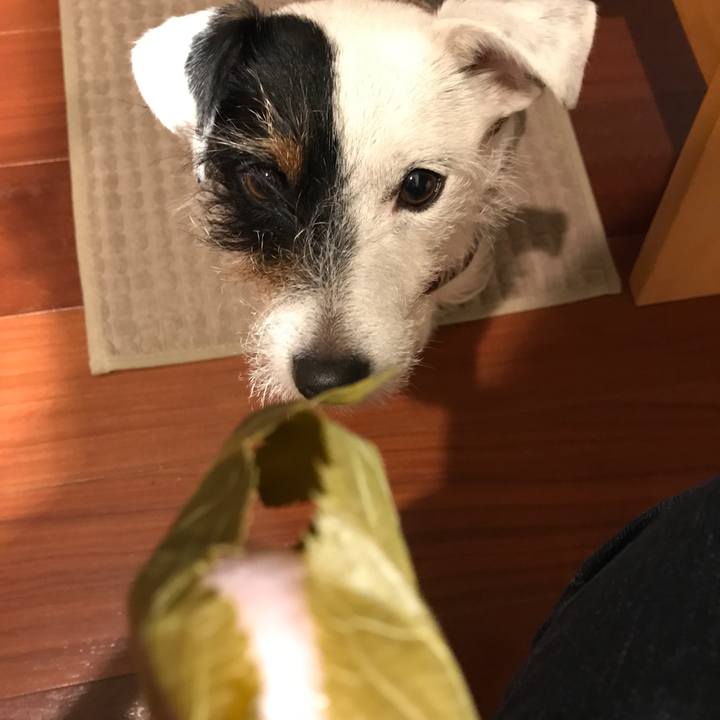 903f297f 1474 4bf8 a382 e5bcb2df6f37