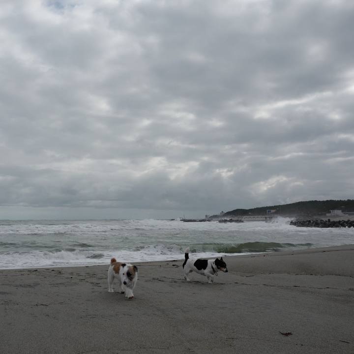 903f2d41 2cf0 4d10 a5cd 96afc3a4086d