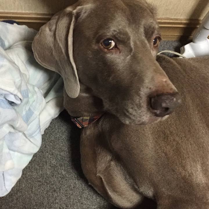 903f53d9 459e 48d2 bd02 8fca04f9a016