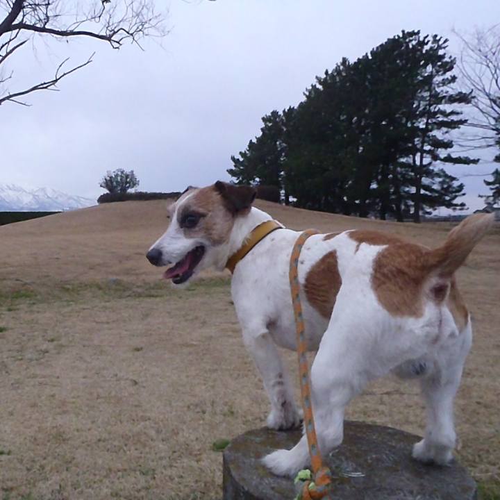 903ff3fb f350 4039 892f 7cd159dda8d9