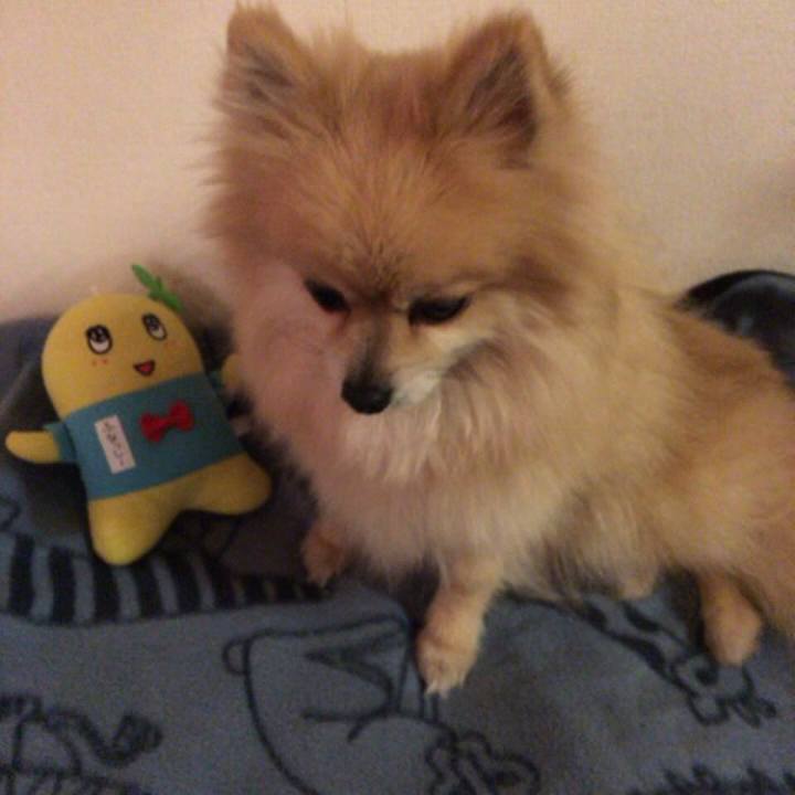 9040a430 9235 4b66 be7e ea8caf2b20ce