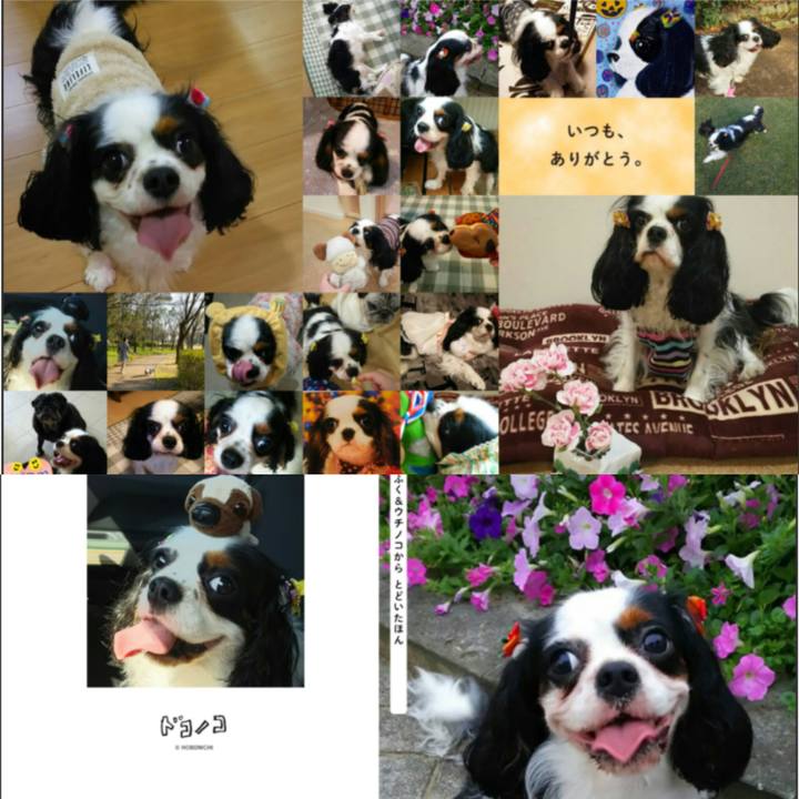 9040be6f 5003 4874 9324 771bdc593646