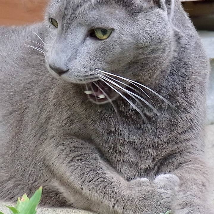 904128bc 96f0 459a b766 c6c01b7002e3