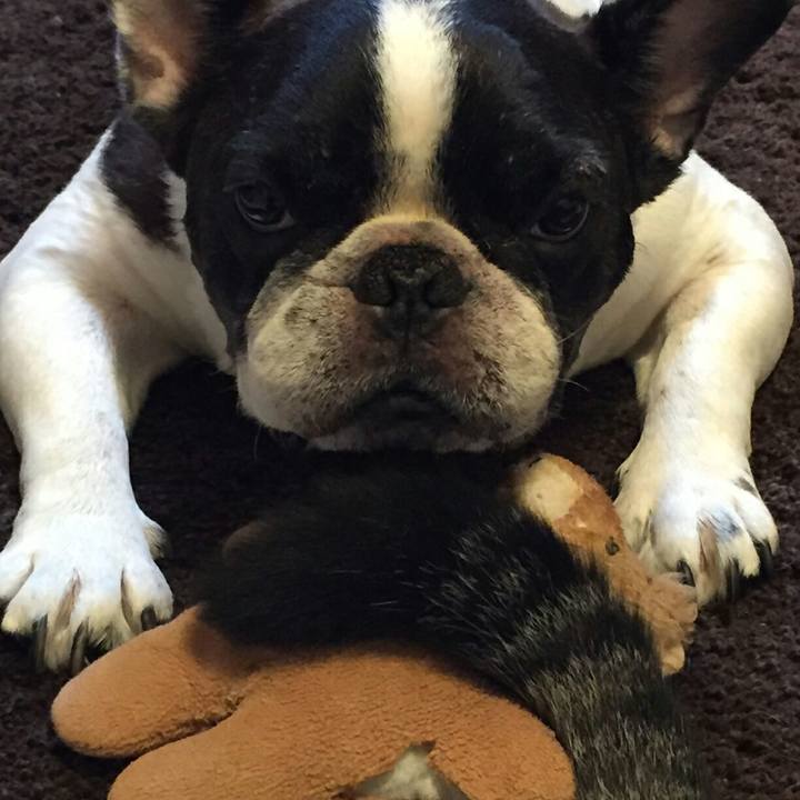 9042179c 020e 4ed0 b87d eee4d7ae9c4c