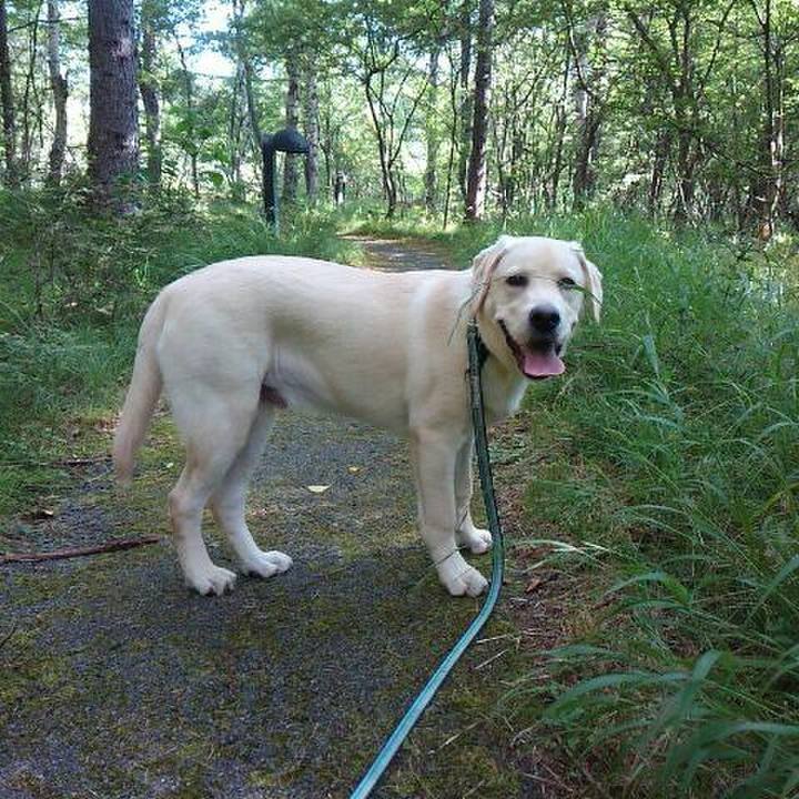 904309f4 b5f1 45f0 be3a e3892c415555