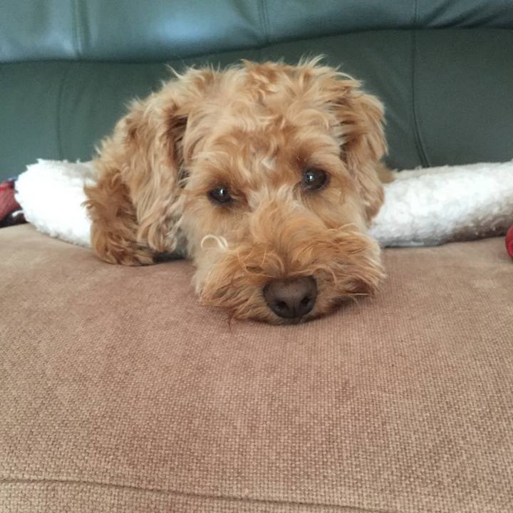 904323ce 741c 45ef 8229 234686645dab