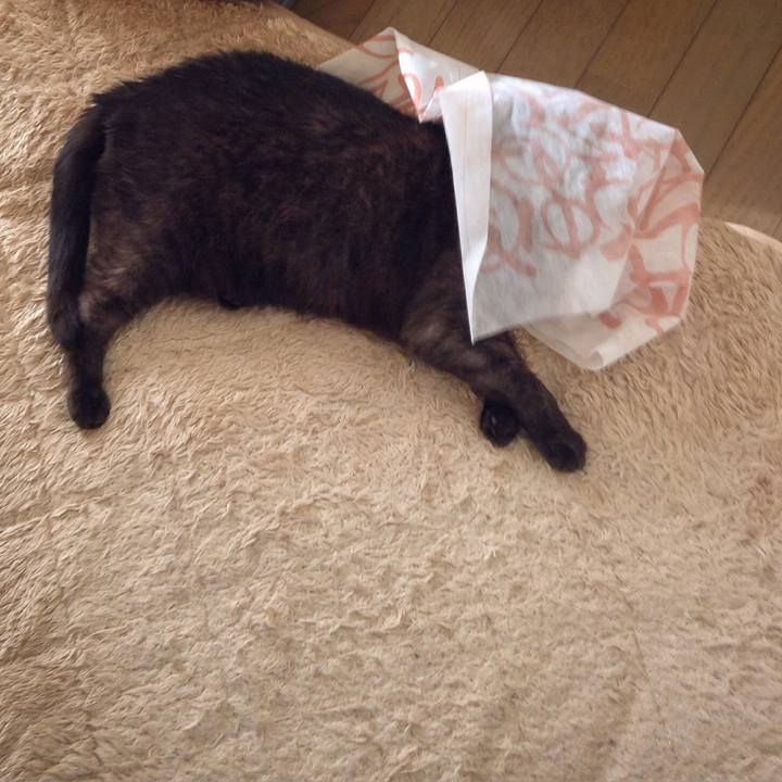 904380cc 74d3 48bc 9d0d 7a7f25bf705c