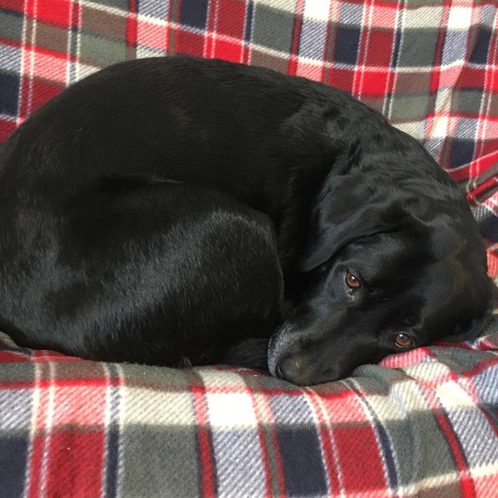 9043914a 5725 4c64 857d c2eaf6ddae22