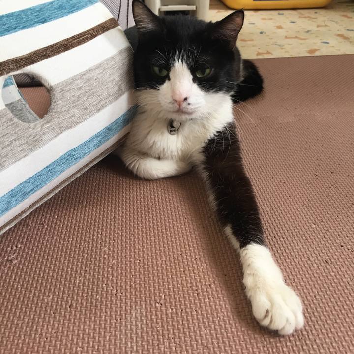 9043ea96 d712 4573 b214 dee4a6570b69