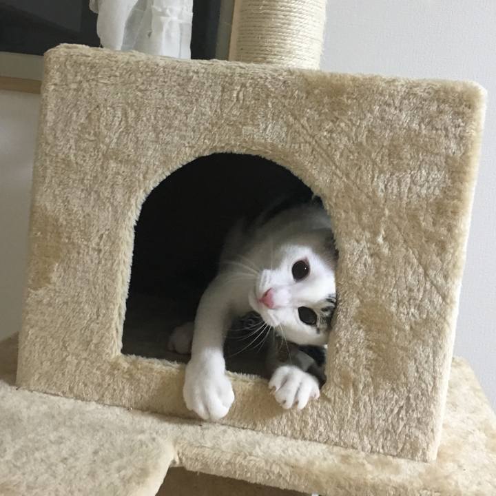 9044265e 6664 48c9 9b7e 21663e9b9e45