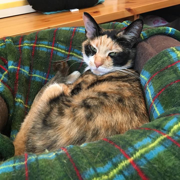 90445e66 b5a1 42d0 88c3 eacc1c942d19