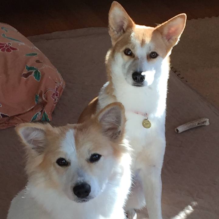 904475d5 91bc 4d76 b726 e20b52b00212