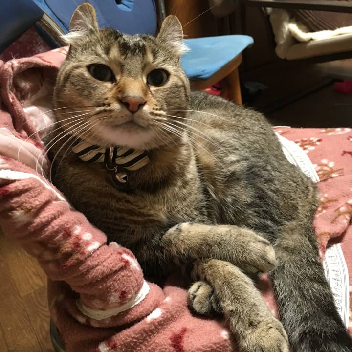 9044d2cb 9e2c 4104 b8a9 932c2e0750b2