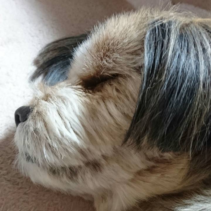 90458e81 3eca 46c0 adca 9bf2472f4eaf