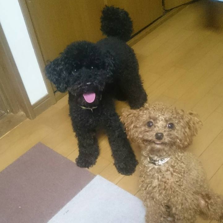 9045a62d cc5d 4332 b5d7 5072beed395f