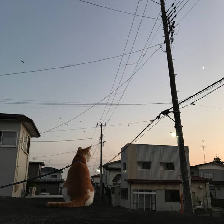 9045dbeb 729e 47f7 8a93 8df92ce40f86