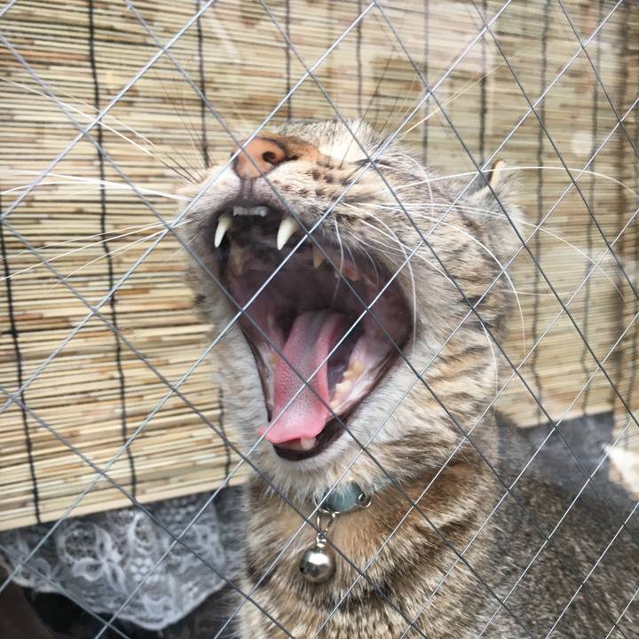 9045e998 03c6 4861 ab96 9ffe4d7a0bbb