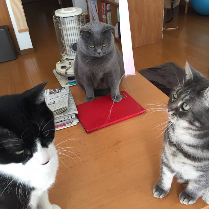 90460aa8 5a98 45a9 baeb 8307ef14a88d