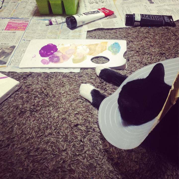 904636ec 6336 45d8 8b4b df8ba4faebda