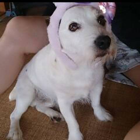 904637ef ea60 4f08 854e 8f0ddede3c8f