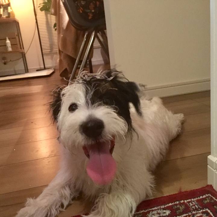 9046e79a 4b7c 4272 8e8d 7ad955f9fc22