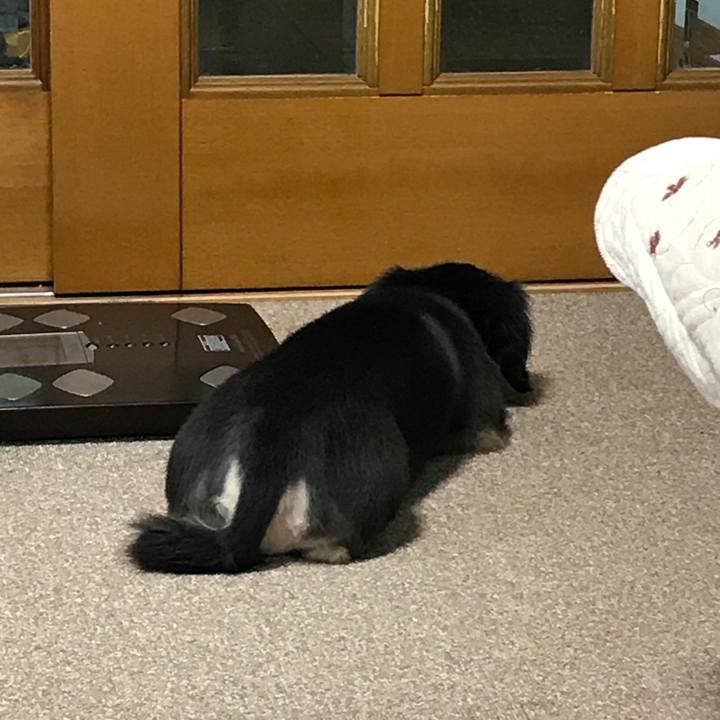 9047715a 1f00 4dc9 9d4a 5f18d4338a16