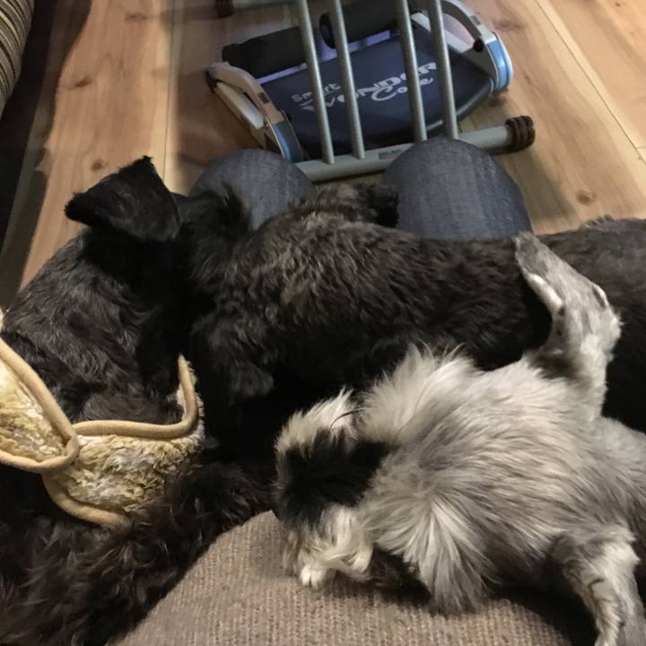 9047f78f 9f30 4c52 94ab 2dd8f16e708d