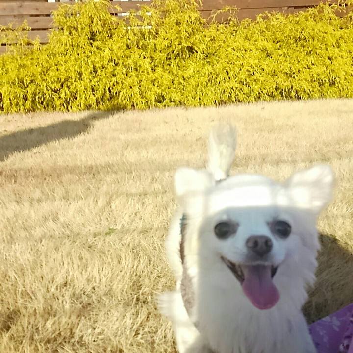 9048d961 f6e6 4c4d 9bb7 960b5e4f3f3d