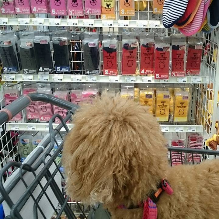 90490eee 9f4c 43de 88dd b99ede5ba049