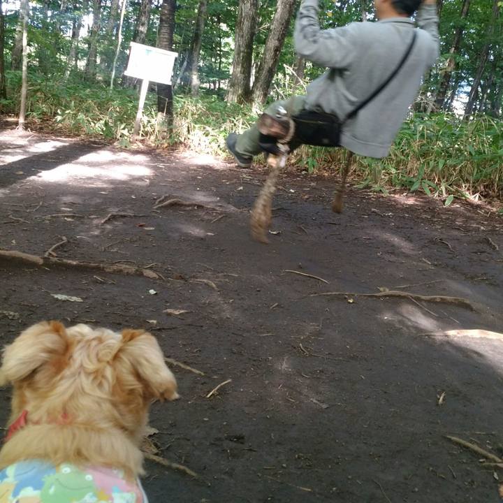 9049f248 ef01 4855 9ba7 87a21f912644