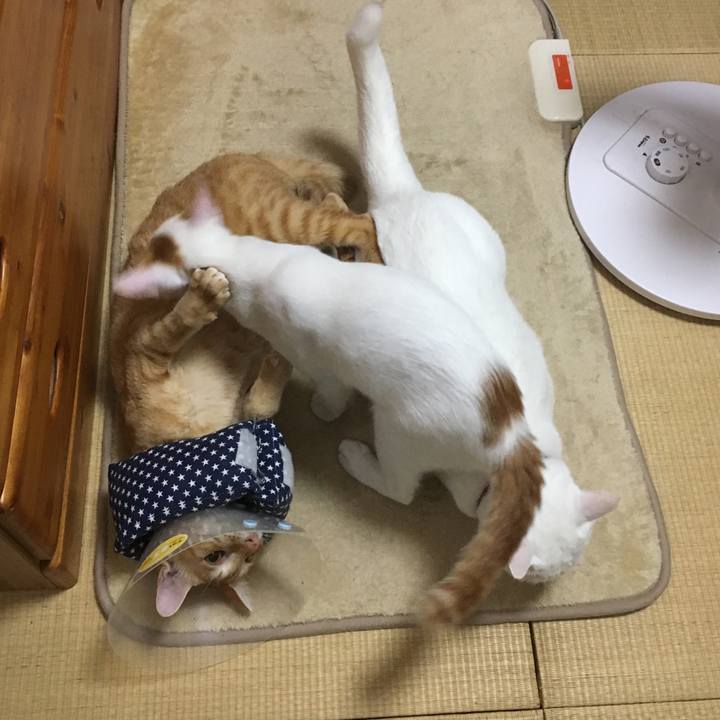 904a38f7 c54d 4495 8583 90962db8dbef