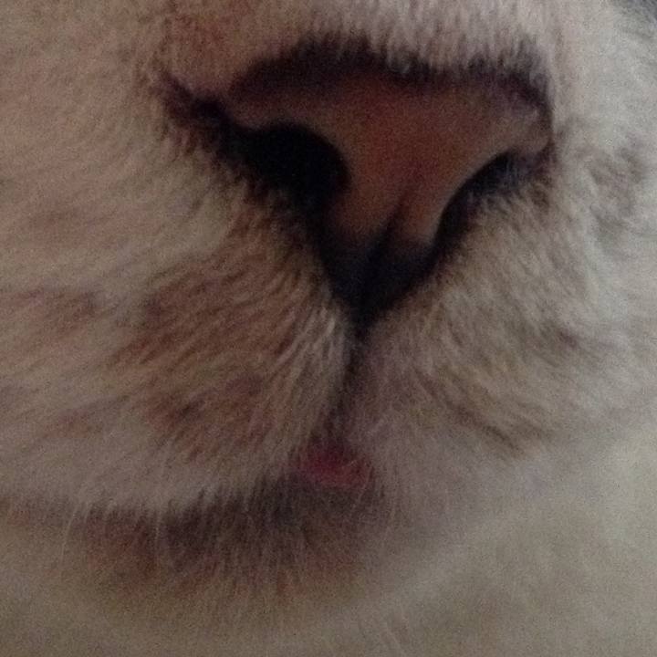 904a3b36 77f8 4f4b 973b 8ef9da1c19e2