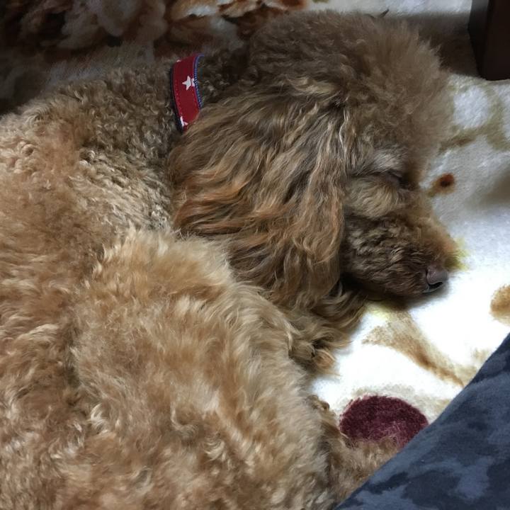 904b5145 8e64 4405 b5cf e2a738428836