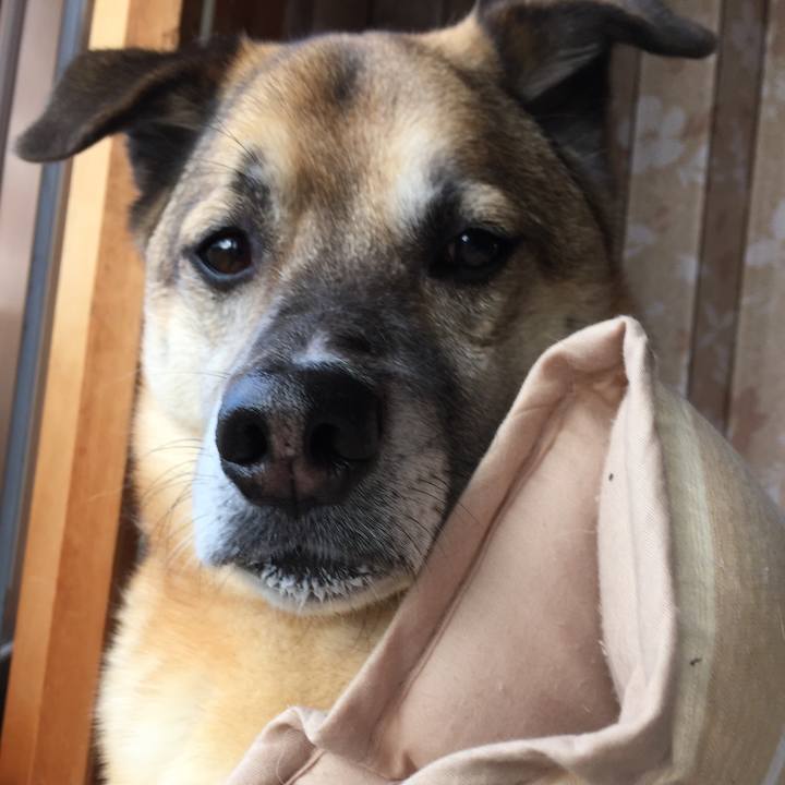 904bd010 859f 4661 a0dc 97f2ea09baba