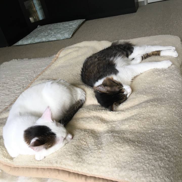 904c1947 577b 47e2 92a1 62f8b7cbd88f