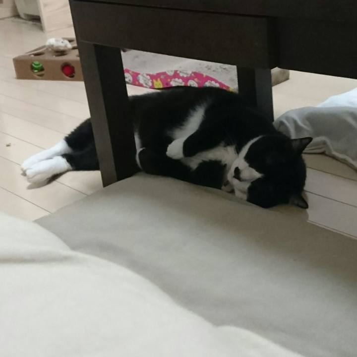 904ce6bf 1833 4a46 84b0 ac1dd6313155