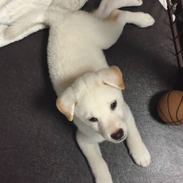 904ced9b 1412 474b 8957 2bff4c22c105