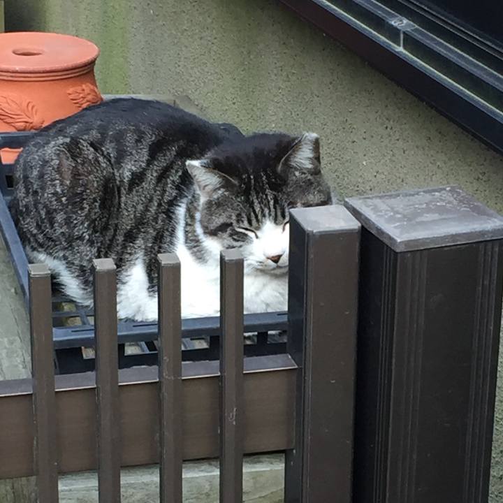 904d175b ddd3 4a39 94ee 3b495dd3ec89