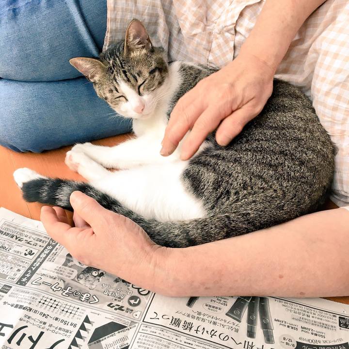 904d3add fe3a 42ca 9e06 c47e46334760