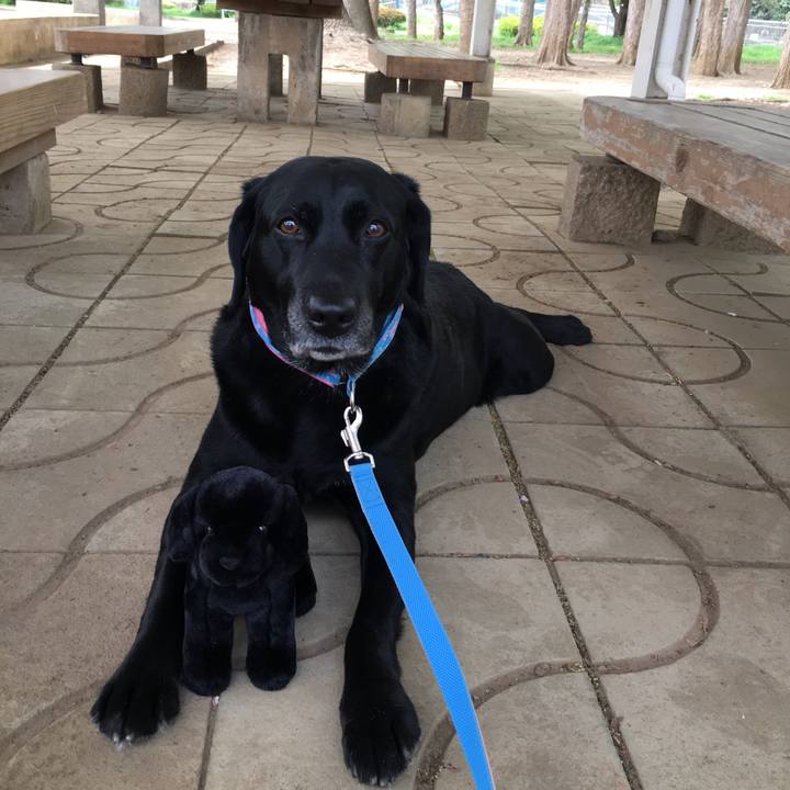 904ddfde b985 4fcb 9039 7931876fc08a