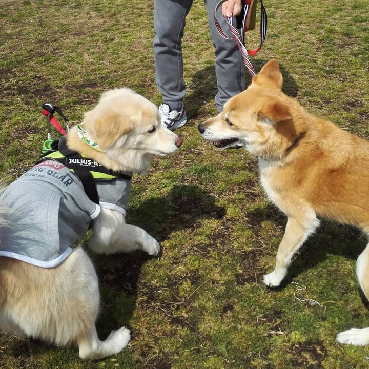 904e25d7 9e58 459d 9ebc c9ca2bbc1702