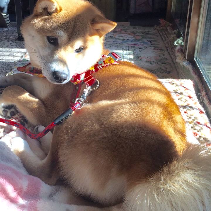 904e7a7e 696f 4643 a674 bea2dcc892ef