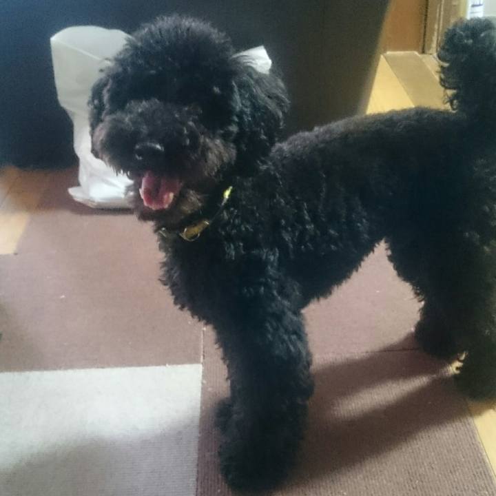 904e8db5 4194 47a9 9e65 a65062d457d9