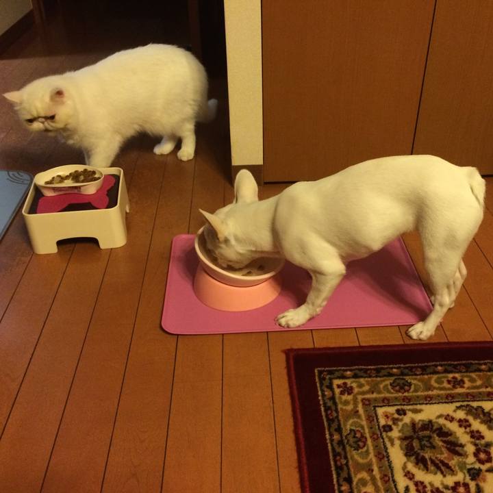 904f3283 e8d0 4266 8dff 2971d58bb29a