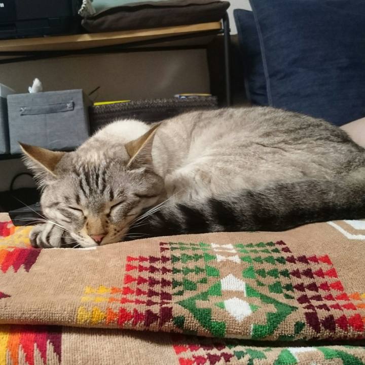 904fc752 6a7b 45b4 b5ed 22933787ec40