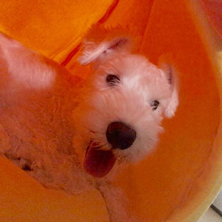 904fe151 79a8 4358 98fd ad4d3625fb80