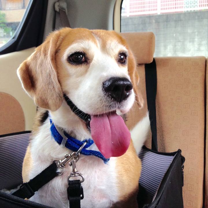 9050aa9f 5ef4 49b1 a70d 75e6a29a6f3f